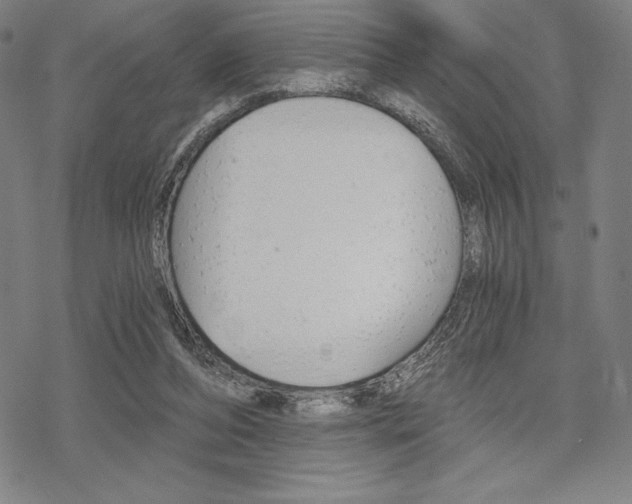 X0000068830208200605050926