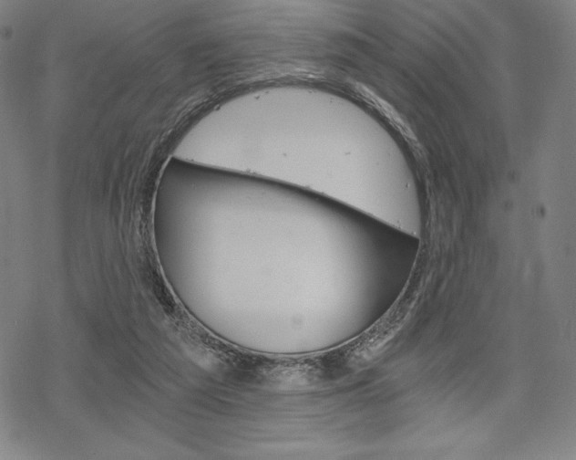 X0000068830209200605050926