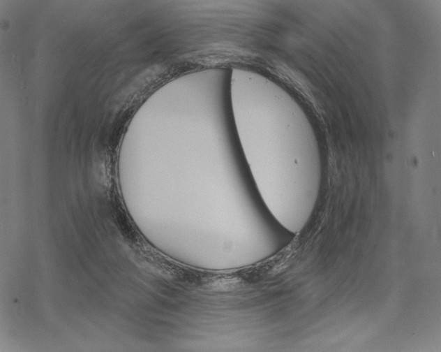 X0000068830210200605050926