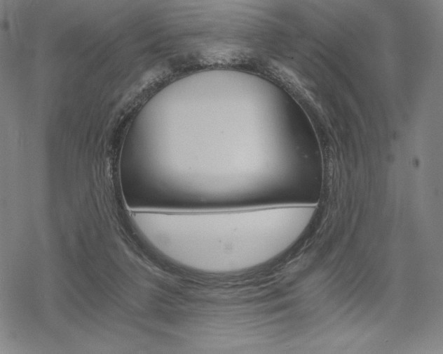 X0000068830211200605050926