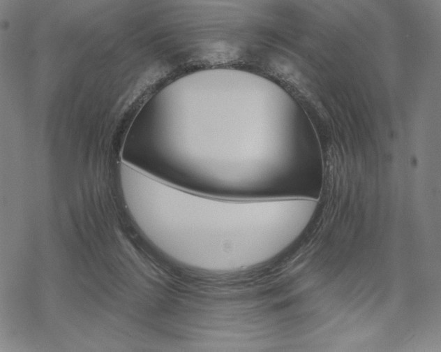 X0000068830212200605050926