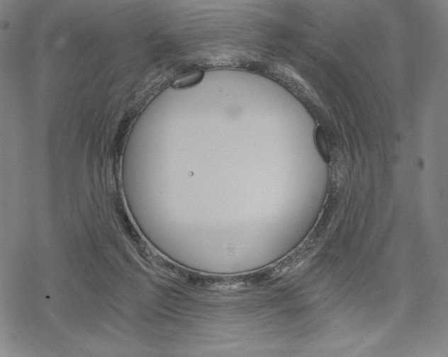 X0000068830213200605050926