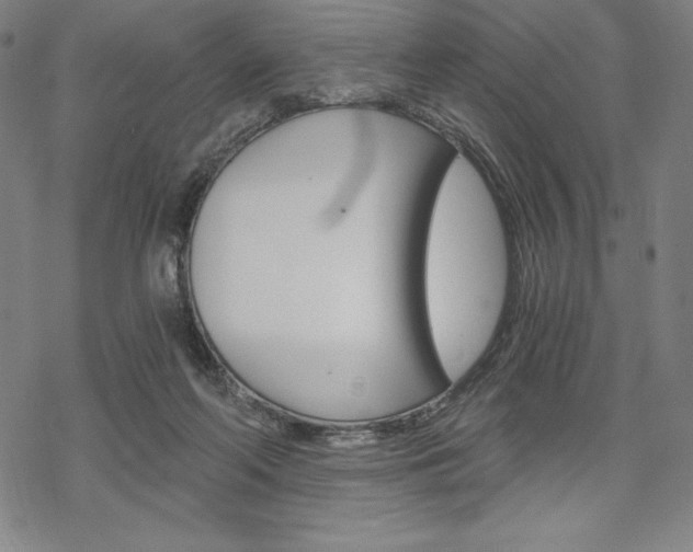 X0000068830214200605050926