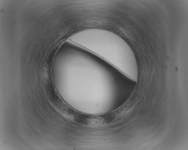 X0000068830215200605050926