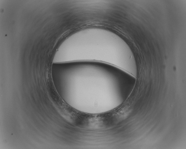 X0000068830216200605050926