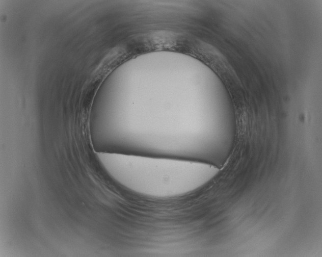 X0000068830218200605050926