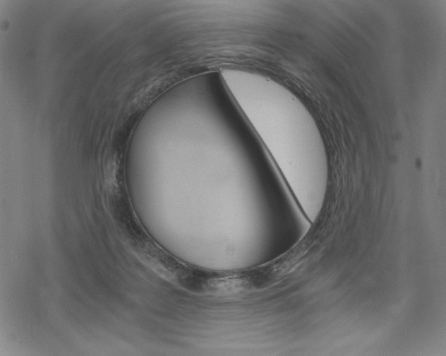 X0000068830219200605050926