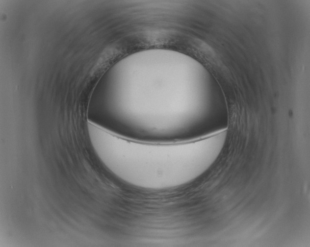 X0000068830220200605050926