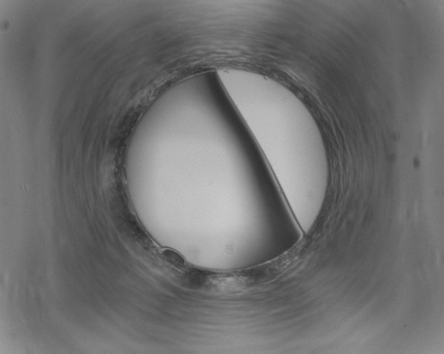 X0000068830221200605050926