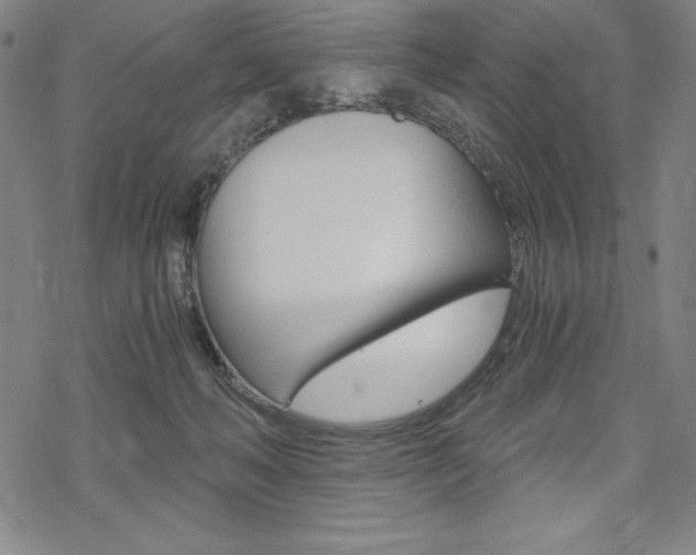 X0000068830222200605050926