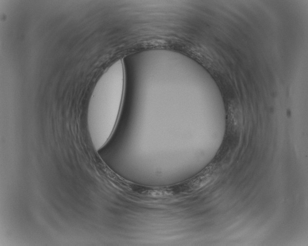 X0000068830223200605050926