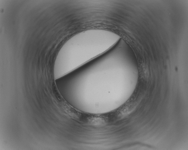 X0000068830224200605050926