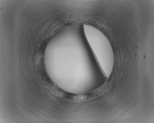 X0000068830225200605050926