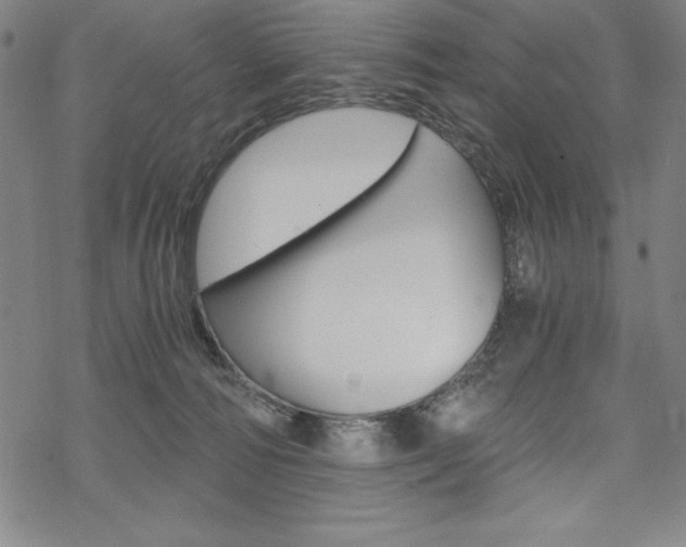 X0000068830226200605050926