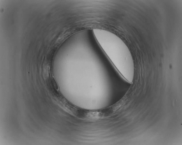 X0000068830227200605050926