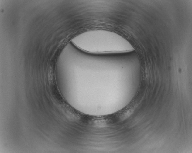 X0000068830228200605050926