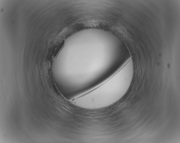 X0000068830229200605050926