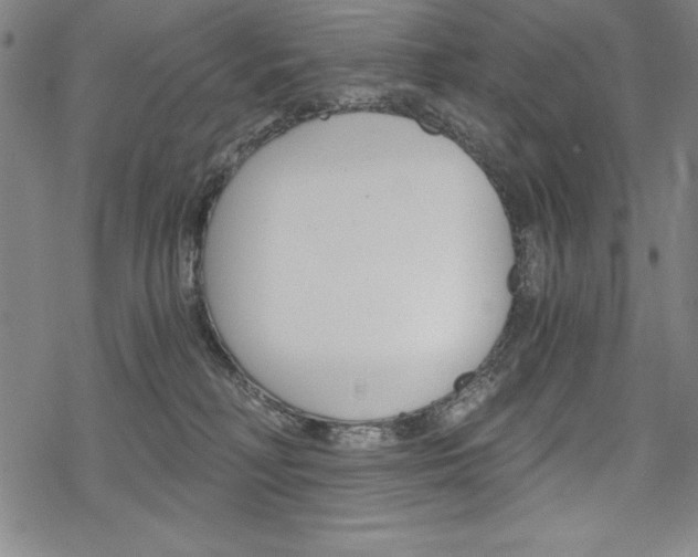 X0000068830230200605050926