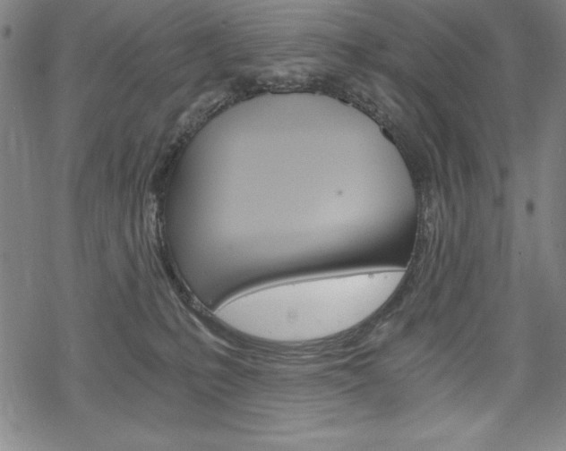 X0000068830231200605050926