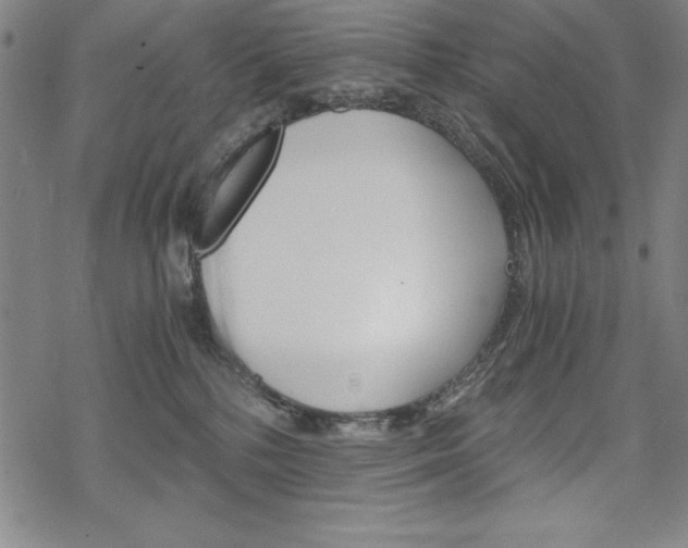 X0000068830232200605050926