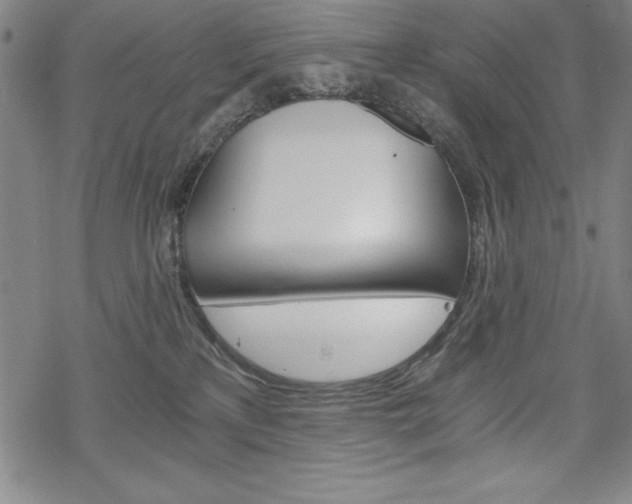 X0000068830233200605050926