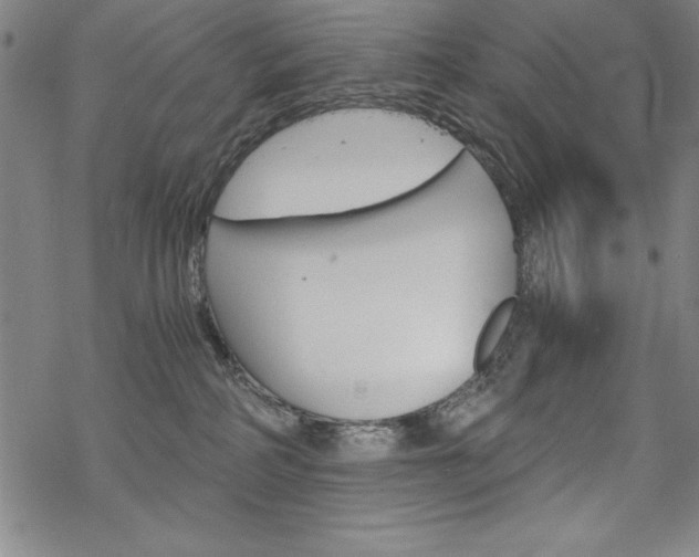 X0000068830234200605050926