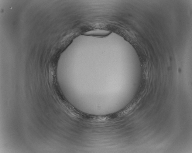 X0000068830235200605050926