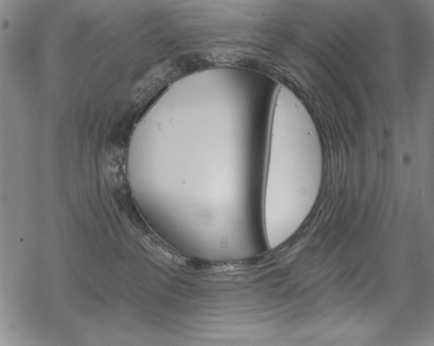 X0000068830237200605050926