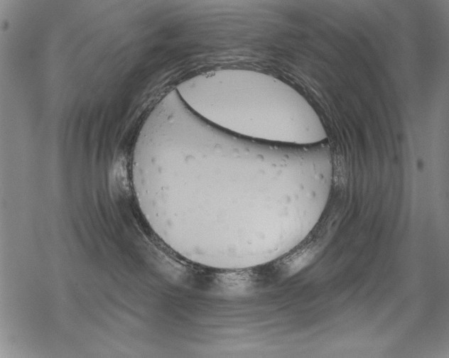 X0000068830238200605050926