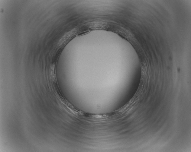 X0000068830239200605050926