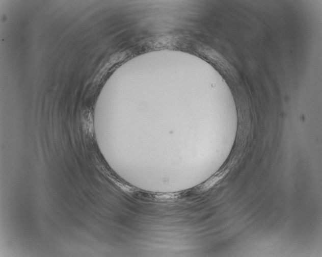 X0000068830240200605050926