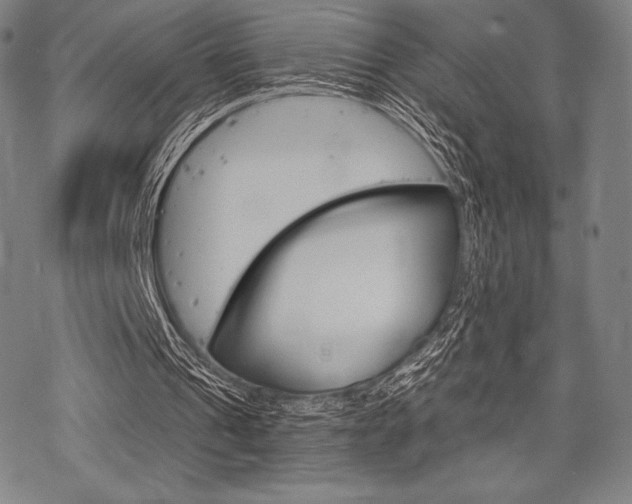 X0000068830241200605050925