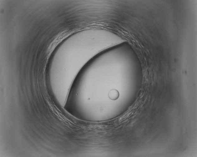 X0000068830242200605050925