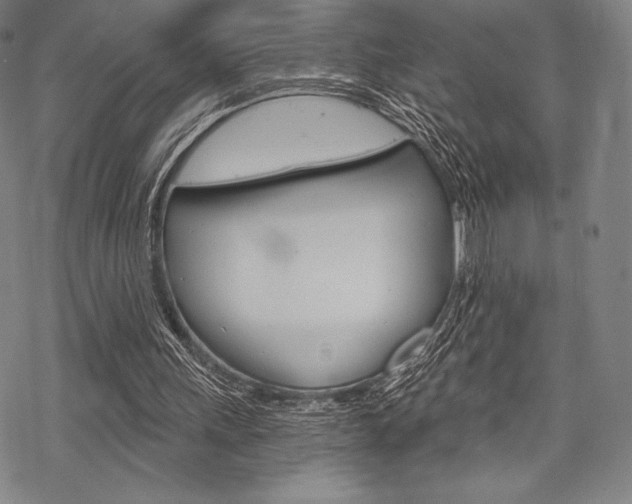 X0000068830243200605050925