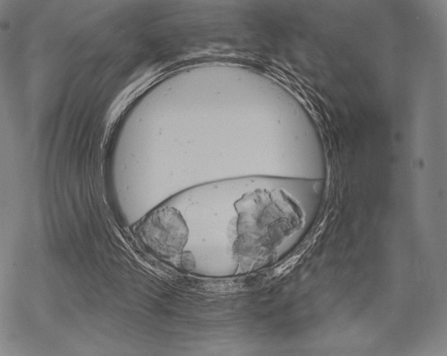 X0000068830245200605050925