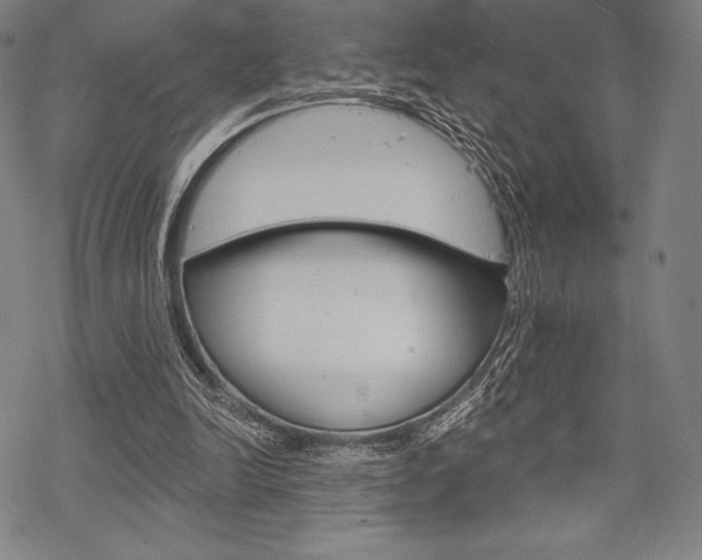 X0000068830246200605050925