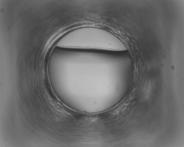 X0000068830247200605050925