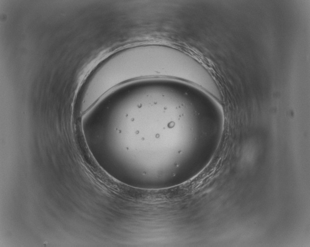 X0000068830248200605050925