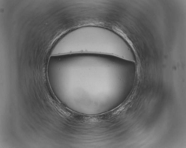 X0000068830249200605050925