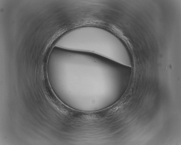 X0000068830250200605050925