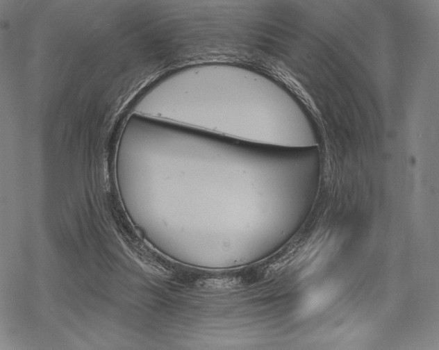 X0000068830251200605050925