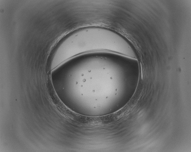 X0000068830252200605050925