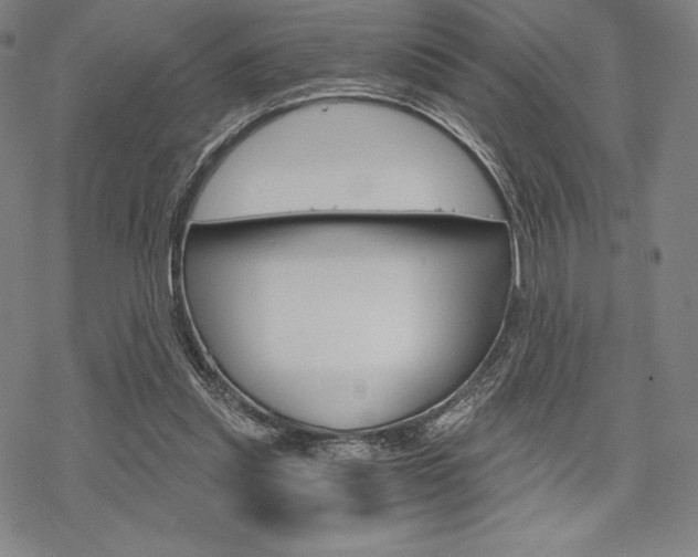 X0000068830253200605050925