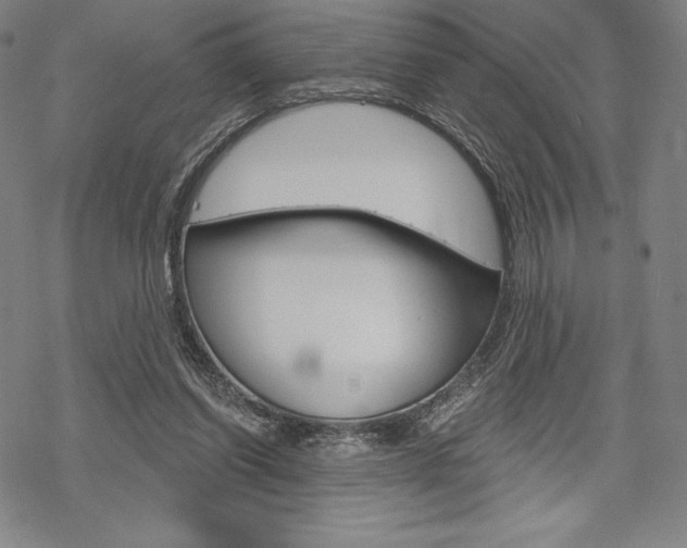 X0000068830254200605050925