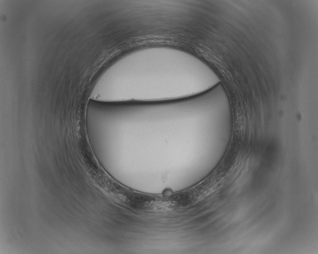 X0000068830255200605050925