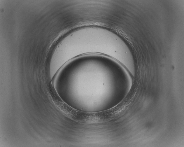 X0000068830256200605050925