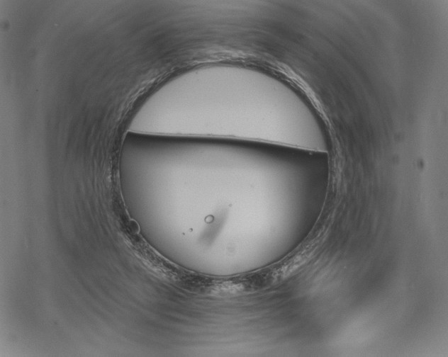 X0000068830257200605050925