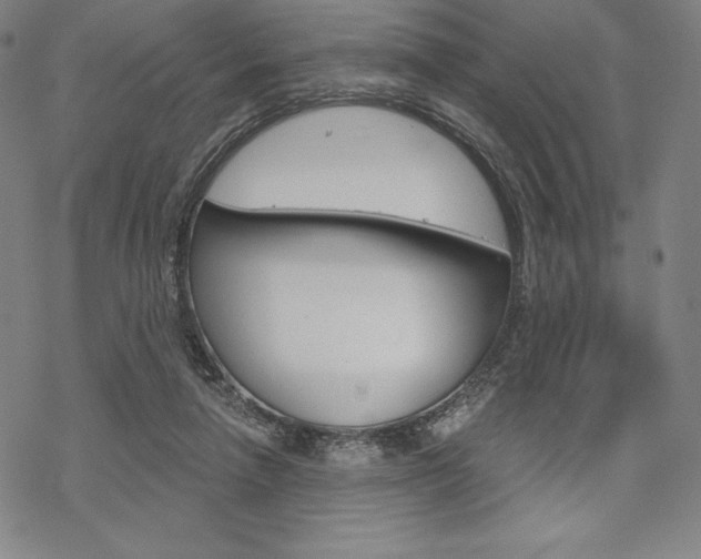 X0000068830258200605050925