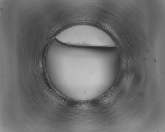 X0000068830259200605050925