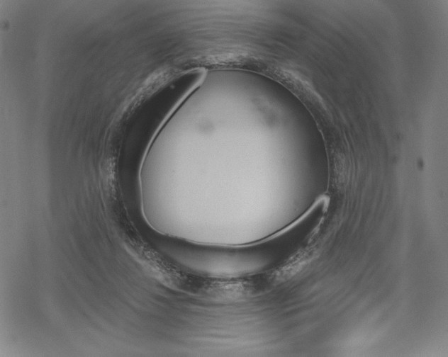 X0000068830260200605050925